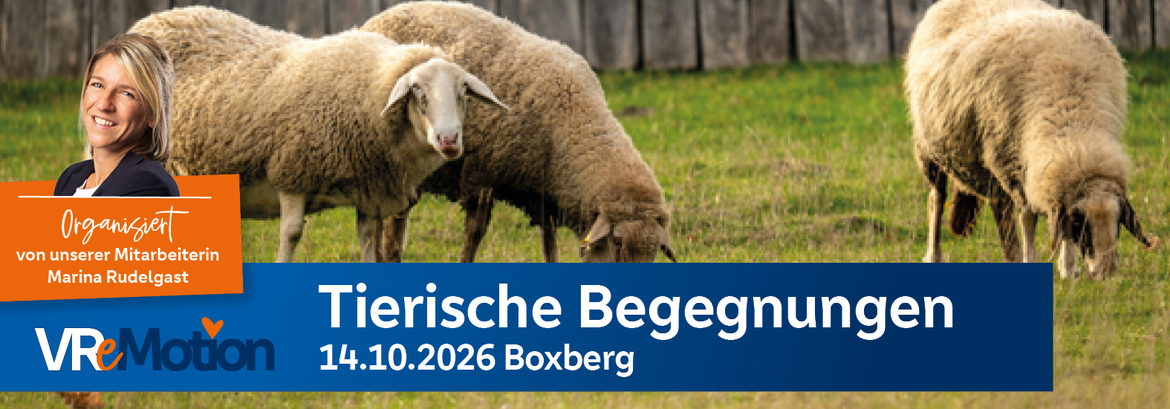 VR eMotion: Tierische Begegnungen – Geschichten und Alltag auf dem Gnadenhof erleben