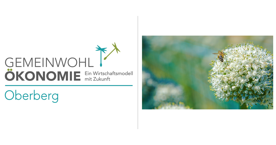 Nachhaltige Unternehmenstransformation mit der Gemeinwohl-Ökonomie in der Region Oberberg