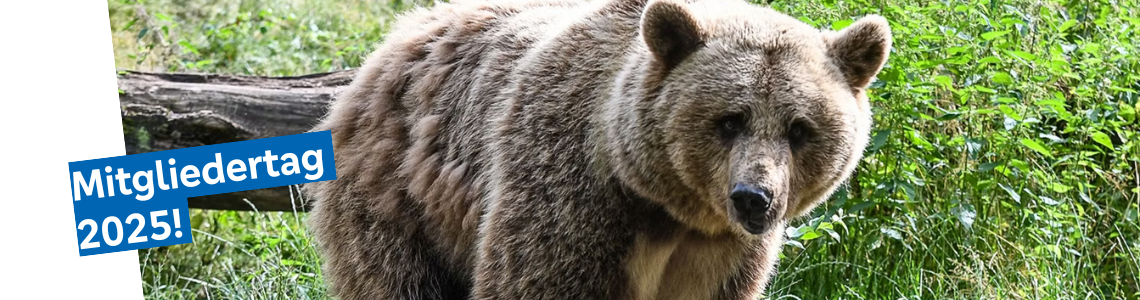 Mitgliedertag 2025