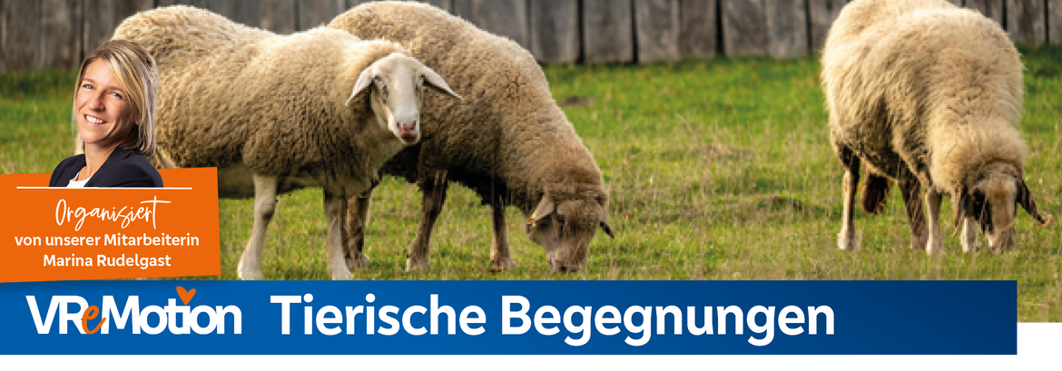 VReMotion: Tierische Begegnungen – Geschichten und Alltag auf dem Gnadenhof erleben
