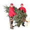 Workshop „Baum aufstellen wie die Profis“