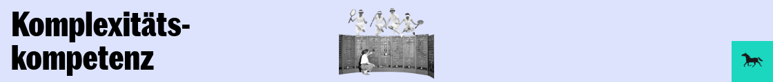 Komplexitätskompetenz: souverän in komplexen Situationen agieren