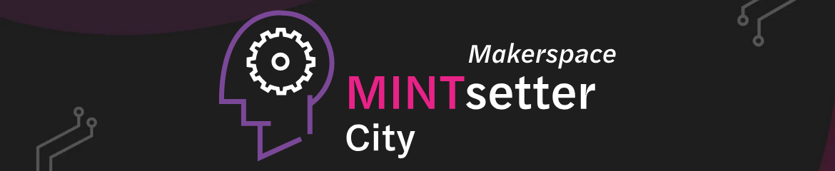 MINTsetter City
