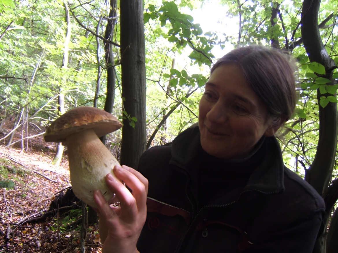 Pilze in Ihrer Küche! (27.10.)