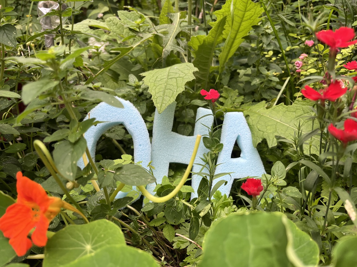 schauSpielPlatz | Theater R.A.M.: OHA! (Premiere und Uraufführung)