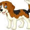 Erlebnistag Hund