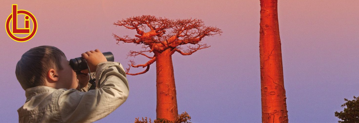 Reisevortrag: 20 Jahre Madagaskar