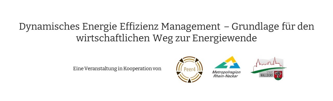 Dynamisches Energie Effizienz Management – Grundlage für den wirtschaftlichen Weg zur Energiewende