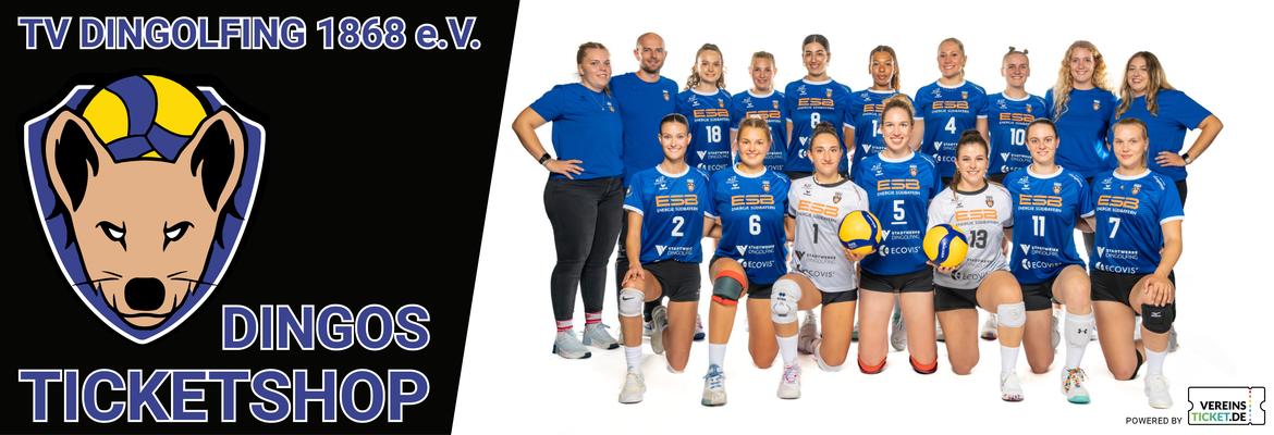 Volleyball | 2. Bundesliga Pro - Damen | Tickets