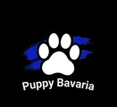 Puppy Bavaria Wahl 2027