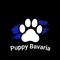 Puppy Bavaria Wahl 2027 inklusive Aftershow Dance Party