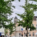 Ehemaliges Landtagsgebäude, Heinrich-Drake-Straße.