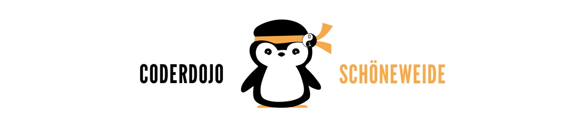 Triff das CoderDojo Schöneweide & Lern in 2h programmieren (für Erwachsene)