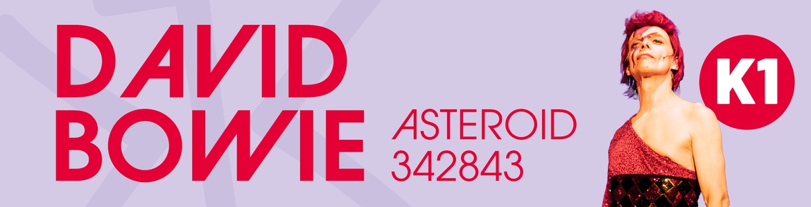 David Bowie Asteroid 342843