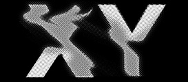 Xciting XY