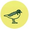2.30 SHORE BIRD TALK WITH ROB CLAY. ORBOST ART CENTRE. FREE!