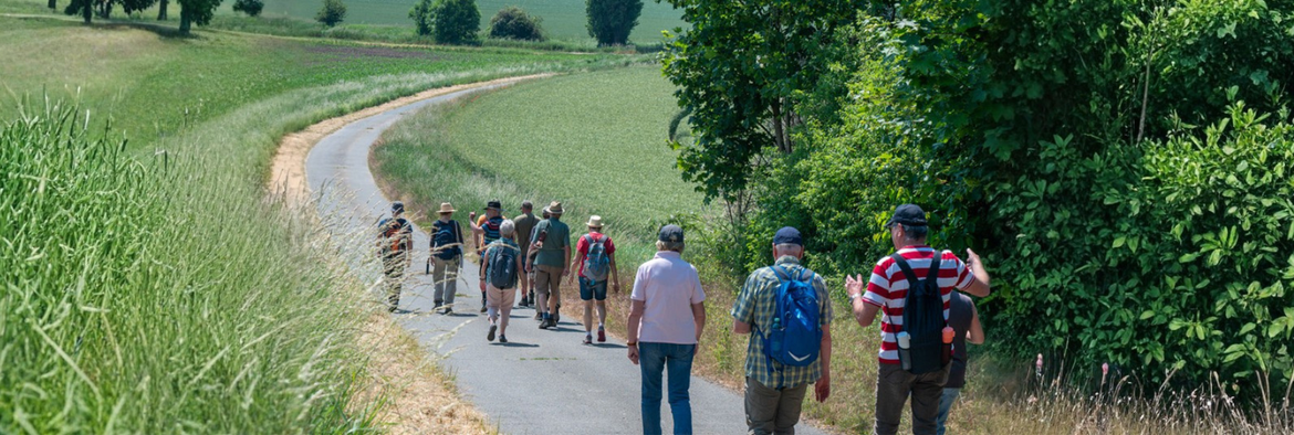 Wanderung am Bromer Bogen