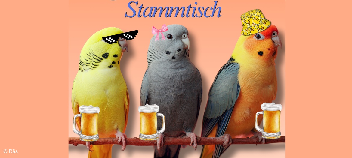 Wellensittich Stammtisch - LIVE