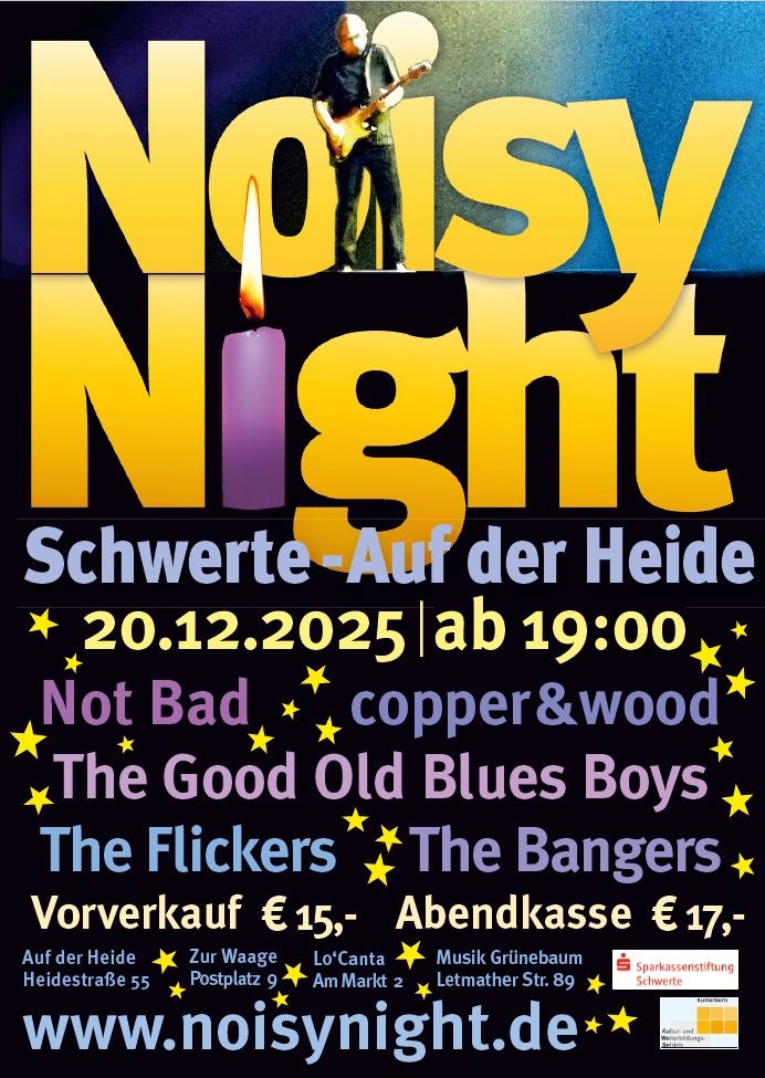 🎶 Noisy Night • Festival der Schwerter Musikszene