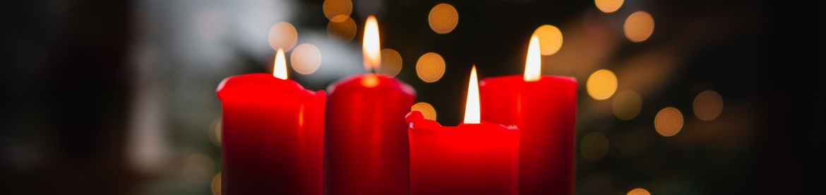 J.S. Bach Weihnachtsoratorium 4-6