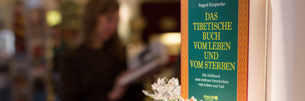 Eine Reise durch das Tibetische Buch vom Leben und vom Sterben | Im Spiegel des Todes - MODUL 8