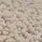 Phosphat-Recycling (geeignet ab Klasse 9)