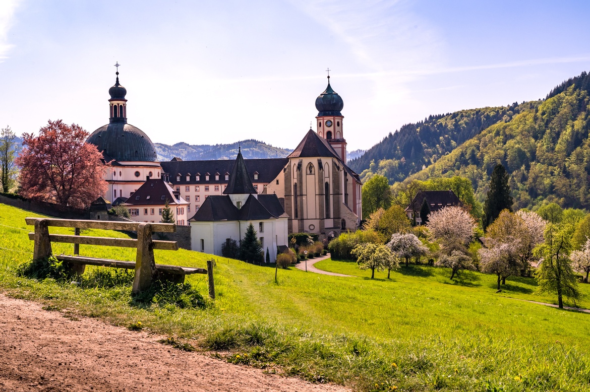 Dein Weg zu mehr Freude im Job: Resilienz-Booster beim Wandern im Schwarzwald