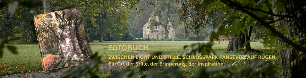 FOTOBUCH - ZWISCHEN LICHT UND STILLE