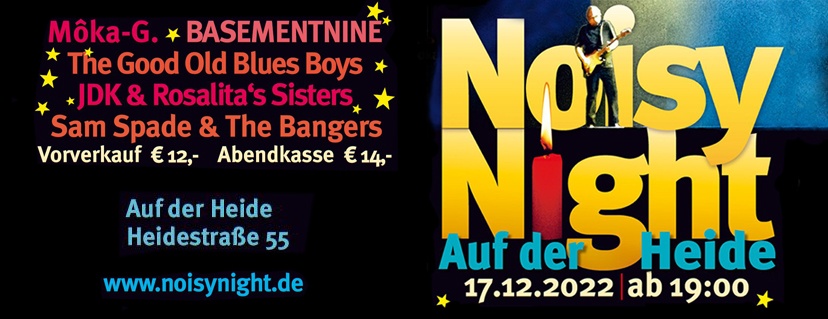 🎶 Noisy Night • Festival der Schwerter Musikszene