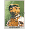 Der Vogelkopp