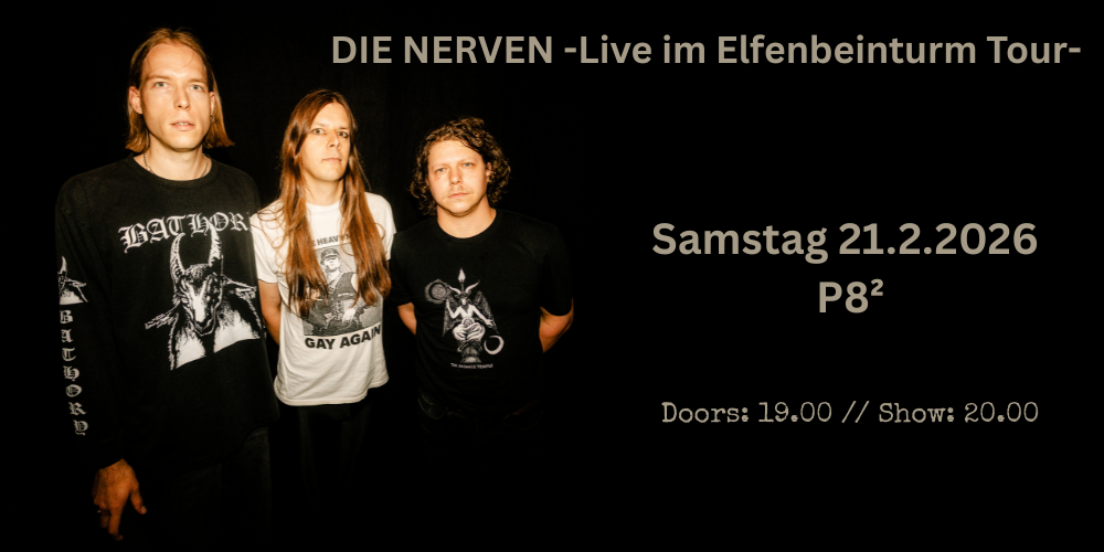 DIE NERVEN -Live im Elfenbeinturm Tour-