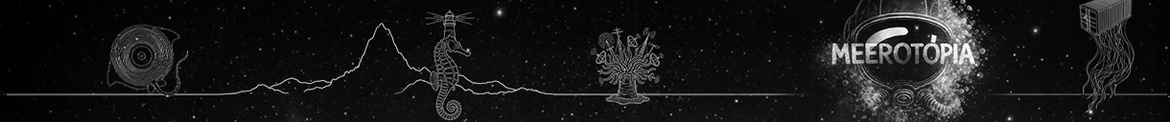 Meerotopia Summer Closing - Extended