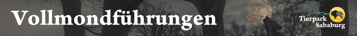 Vollmondführungen 2025 im Tierpark Sababurg