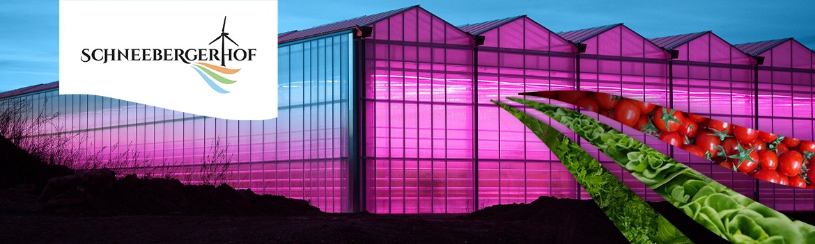 Gewächshausführung Fortsetzung