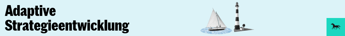 Adaptive Strategieentwicklung
