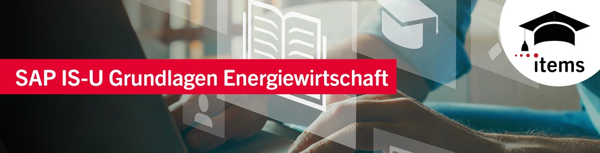 SAP IS-U Grundlagen Energiewirtschaft Q2/26