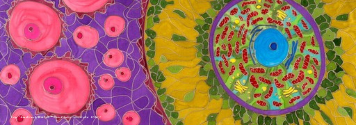 Common European data space for cultural heritage: tender workshops