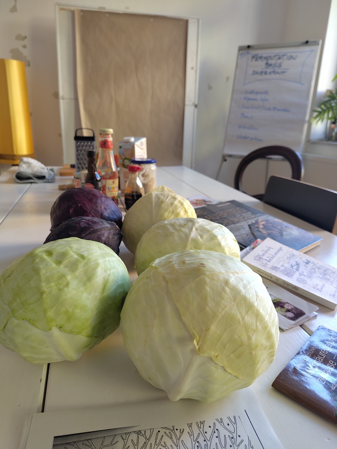 Sauerkraut: Fermentation für Einsteiger