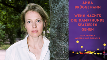 Anna Brüggemann: "Wenn nachts die Kampfhunde spazieren gehen"