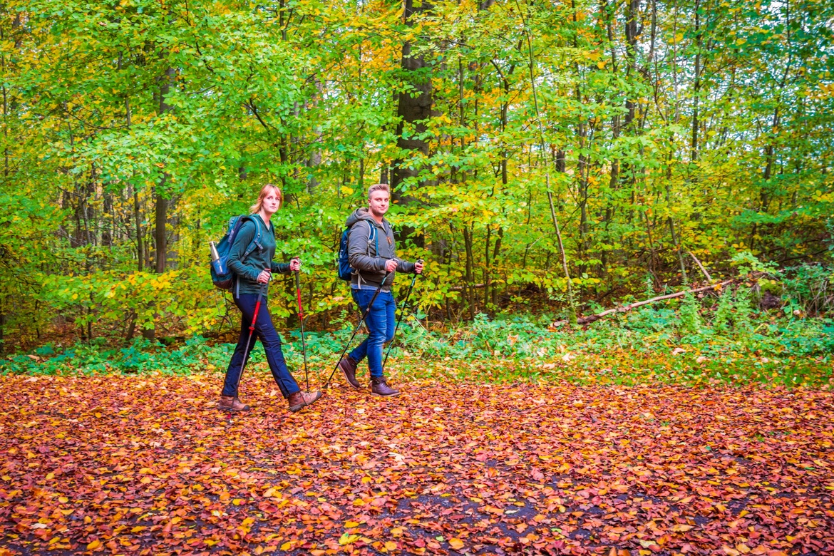 Die Landwehr in Hermannshagen