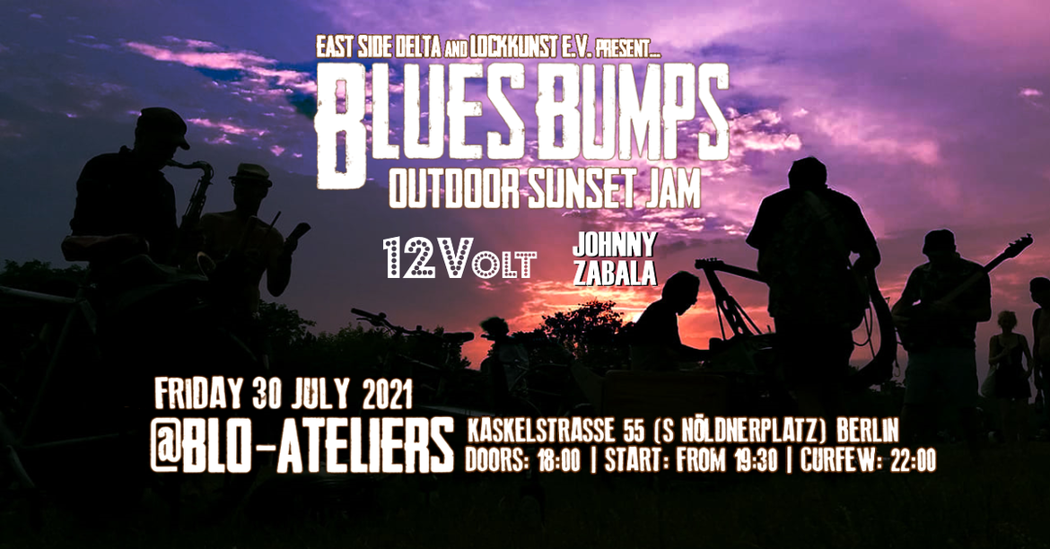 Blues Bumps Outdoor Sunset Jam [12Volt | Johnny Zabala]