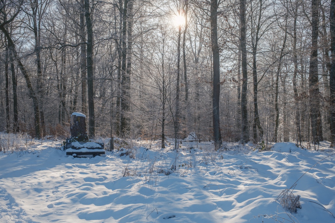 Literarischer Waldspaziergang im Winter als Jahresausklang zur  Wintersonnenwende am Feuer in Lippoldshausen