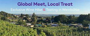 Exclusive Wine Hike & Tasting in Weinböhla