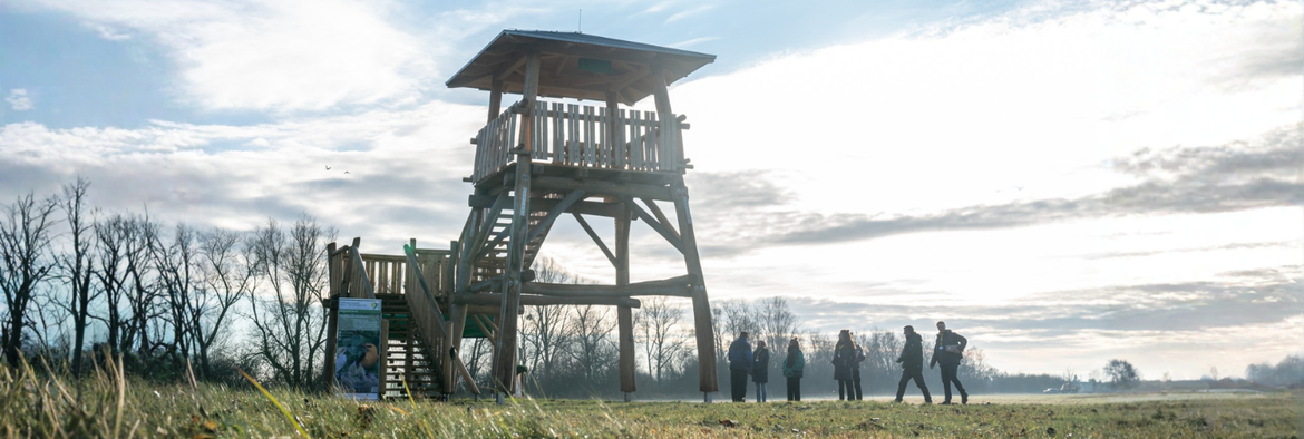 Wanderung: Grünes Band trifft UNESCO Biosphärenreservat Drömling