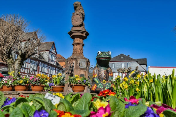 Büdinger Frühlingsgefühle