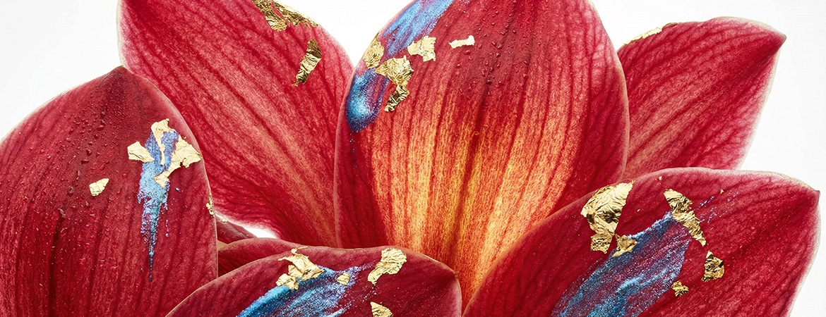 BEAUTY RE-OPENING EVENT IN STUTTGART