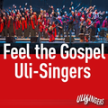 XX Uli-Singers - Feel the Gospel (La Villa/Pöcking)