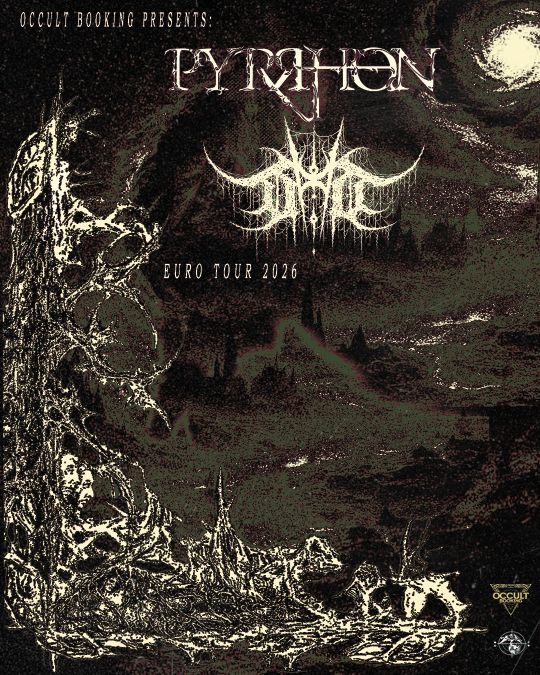 Pyrrhon + Devoid of Thought