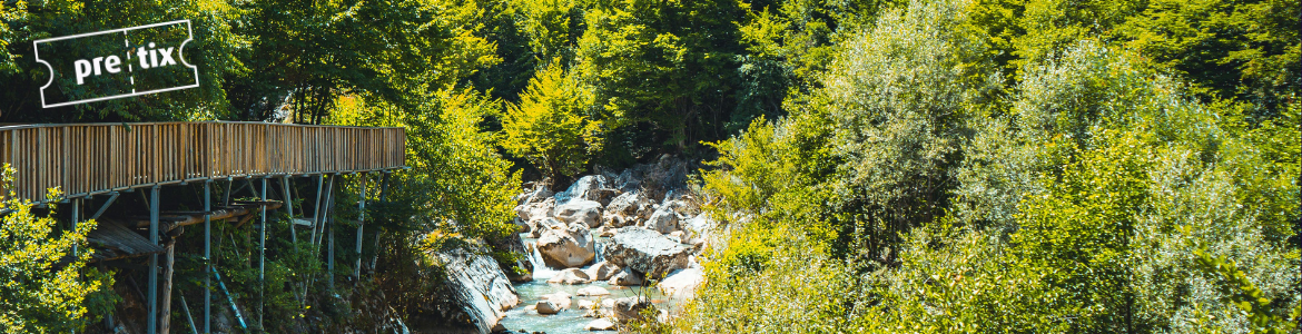 Demo Baumwipfelpfald