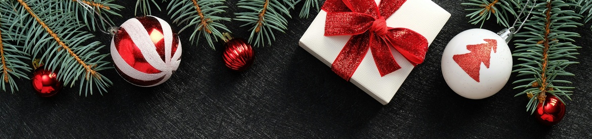 Familienkonzert J.S. Bach "Weihnachtsoratorium"